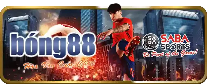 Tiền thưởng và hoàn trả cao hơn